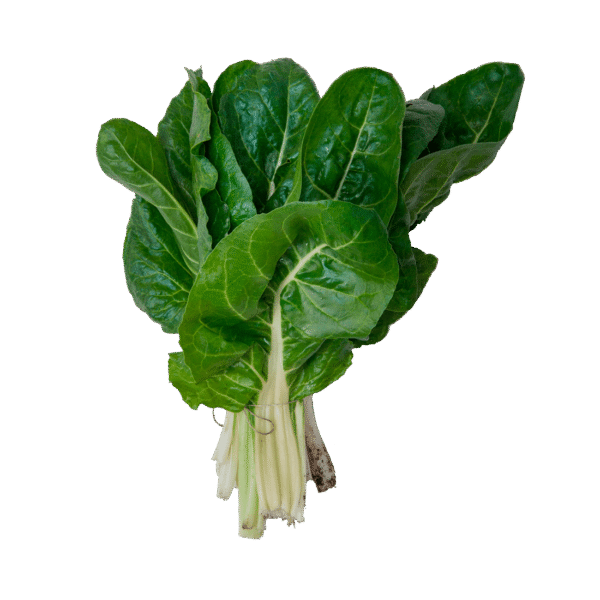 Acelga